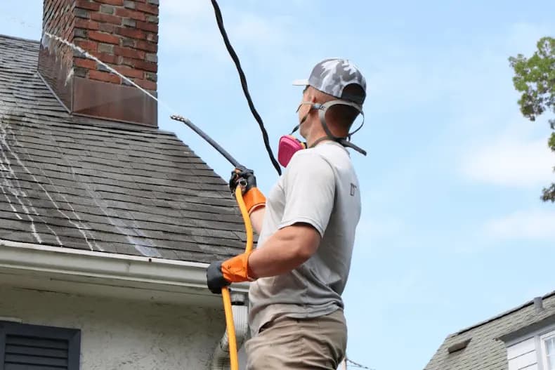 Brunswick Power Washing professional performing gentle roof washing service in Brunswick